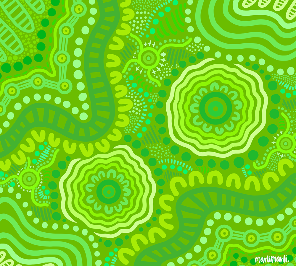 ‘STEM in Community’. Artwork by Tara Rose Gonebale.