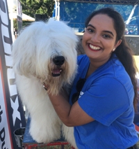 RSPCA Spokesperson Rosy Lone with Archibald at the Million Paws Walk in May