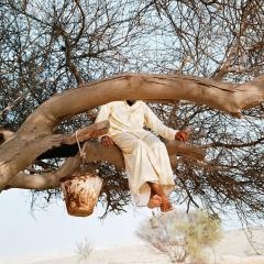 Image: Hoda Afshar Untitled #18, from the series Speak the wind 2015–22 © Hoda Afshar, image courtesy the artist. 