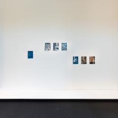Norton Fredericks, Field Samples 2024–25 and Blood test results 2024. Installation view, These Entanglements: Ecology After Nature, The University of Queensland Art Museum, 2025. Photo: Joe Ruckli.