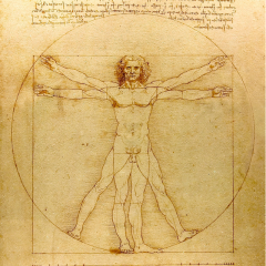 Leonardo da Vinci Vitruvian Man Drawing