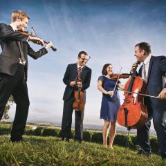 Tinalley Quartet