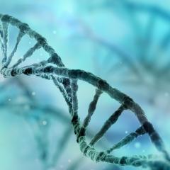 DNA