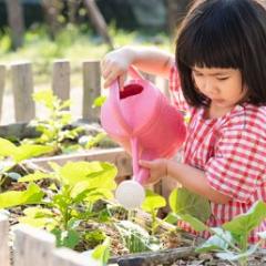A young girl watering plants